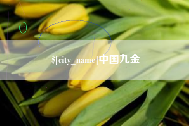 孝感中国九金