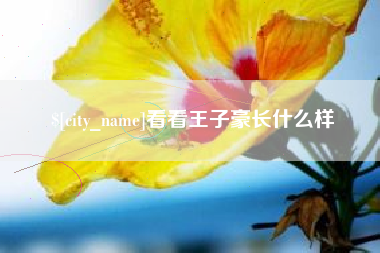 孝感看看王子豪长什么样