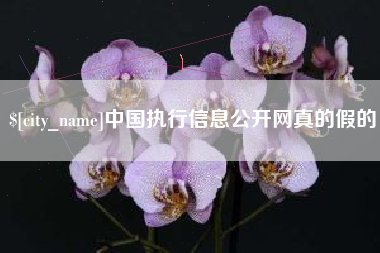 孝感中国执行信息公开网真的假的