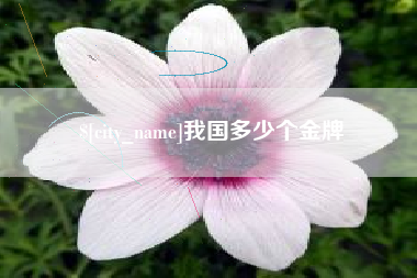 孝感我国多少个金牌