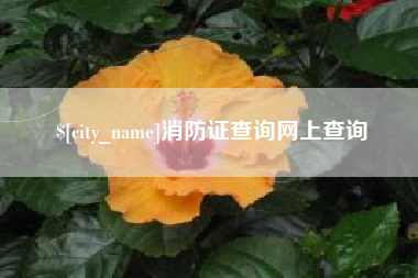 孝感消防证查询网上查询
