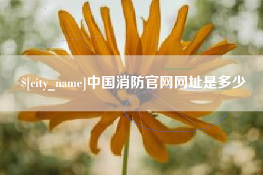孝感中国消防官网网址是多少