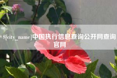 孝感中国执行信息查询公开网查询官网