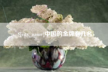 孝感中国的金牌有几名