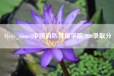 孝感中国消防救援学院2020录取分