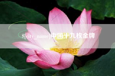 孝感中国十九枚金牌