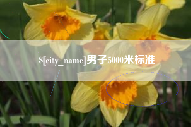 孝感男子5000米标准