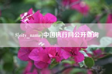 孝感中国执行网公开查询