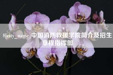 孝感中国消防救援学院简介及招生章程指挥部