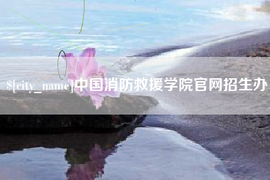 孝感中国消防救援学院官网招生办