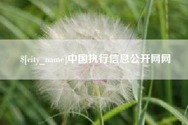 孝感中国执行信息公开网网