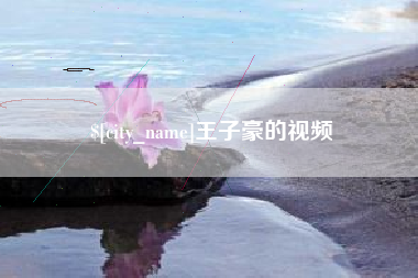 孝感王子豪的视频