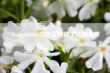 孝感中国金牌得了几枚金牌