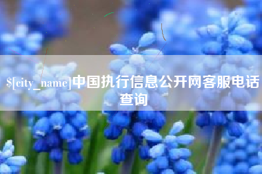 孝感中国执行信息公开网客服电话查询
