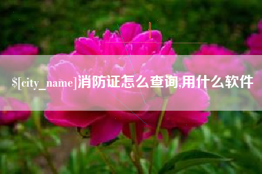 孝感消防证怎么查询,用什么软件