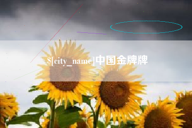 孝感中国金牌牌