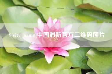 孝感中国消防官方二维码图片
