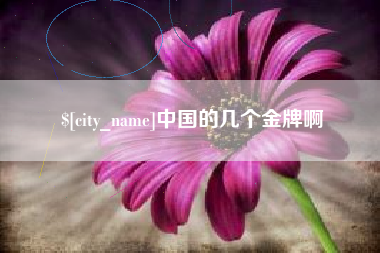 孝感中国的几个金牌啊