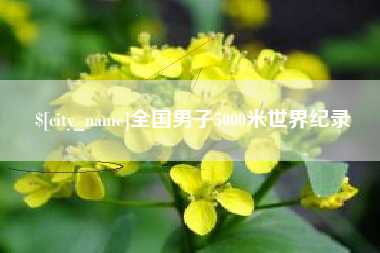 孝感全国男子5000米世界纪录