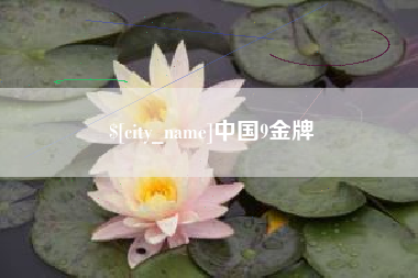 孝感中国9金牌