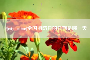 孝感全国消防日的日期是哪一天