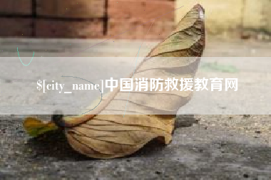 孝感中国消防救援教育网