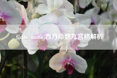 孝感西方命数九宫格解析