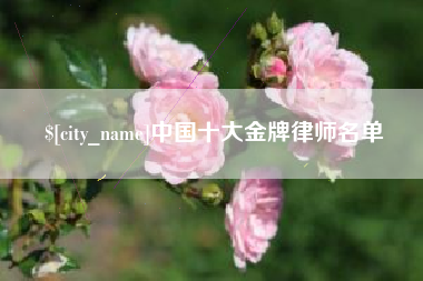 孝感中国十大金牌律师名单