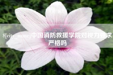 孝感中国消防救援学院对视力要求严格吗