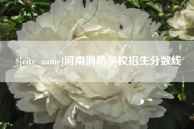 孝感河南消防学校招生分数线