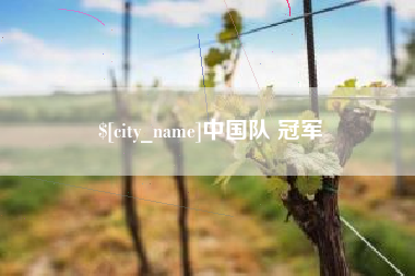 孝感中国队 冠军
