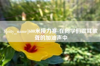 孝感600米接力赛-在同学们震耳欲聋的加油声中