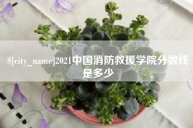 孝感2021中国消防救援学院分数线是多少