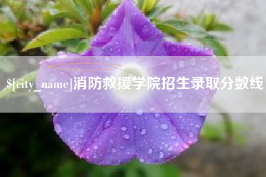 孝感消防救援学院招生录取分数线