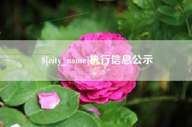 孝感执行信息公示