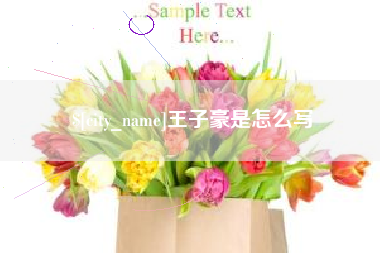 孝感王子豪是怎么写