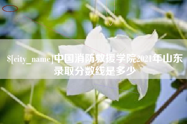 孝感中国消防救援学院2021年山东录取分数线是多少