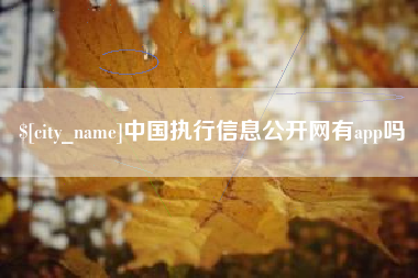 孝感中国执行信息公开网有app吗