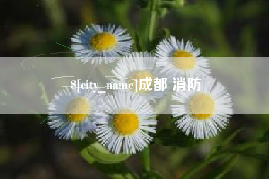 孝感成都 消防
