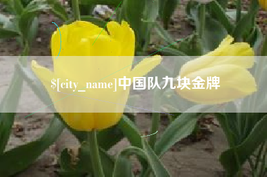 孝感中国队九块金牌