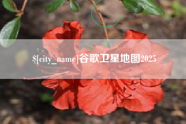 孝感谷歌卫星地图2025