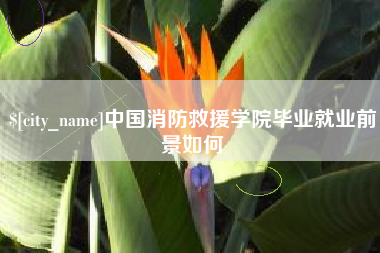 孝感中国消防救援学院毕业就业前景如何