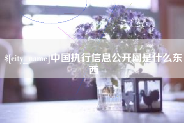 孝感中国执行信息公开网是什么东西
