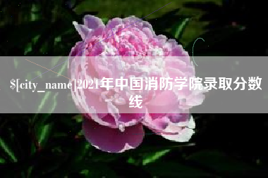 孝感2021年中国消防学院录取分数线