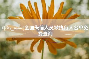 孝感全国失信人员被执行人名单免费查询