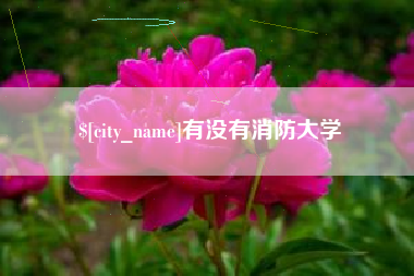 孝感有没有消防大学