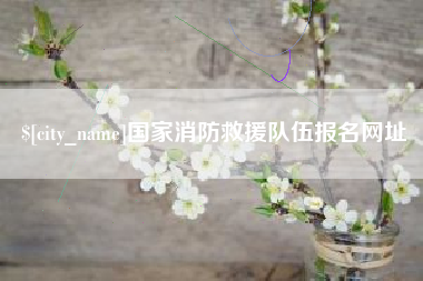 孝感国家消防救援队伍报名网址