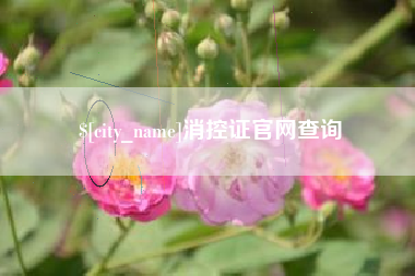 孝感消控证官网查询