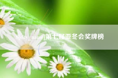 孝感第七届亚冬会奖牌榜