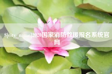 孝感2020国家消防救援报名系统官网